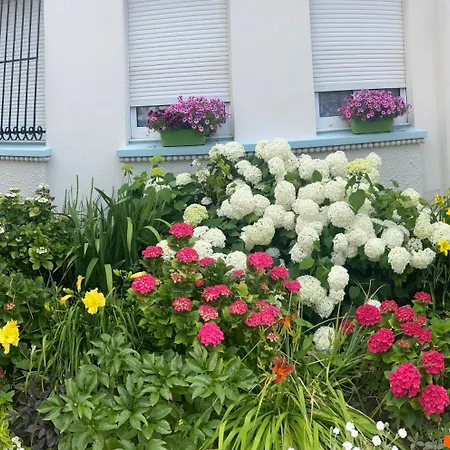Bed & Breakfast Le Macassar *